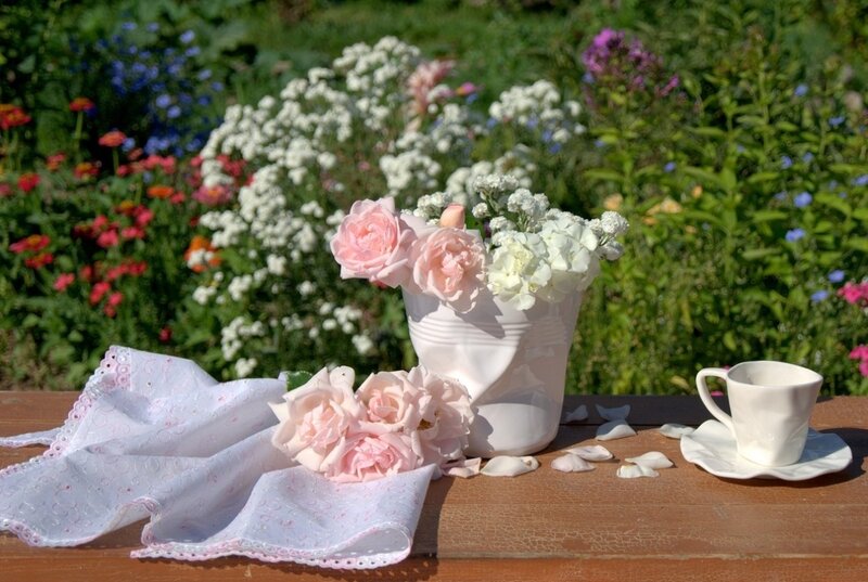 Roses in White Vase — Serene