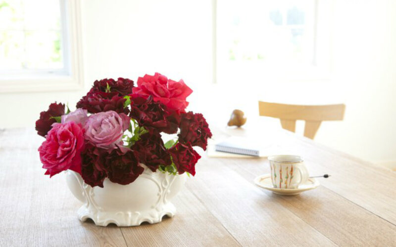 Roses in White Vase