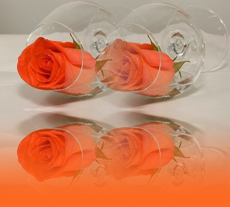 Roses in Wine Glasses