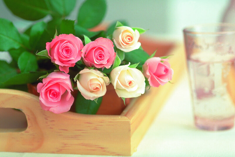 Roses in Wooden Tray