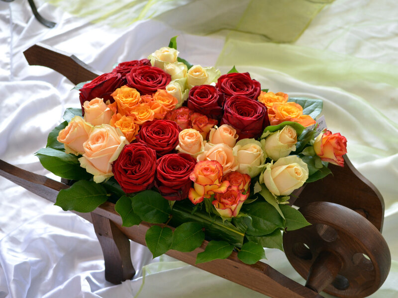 Roses in Wooden Wheelbarrow