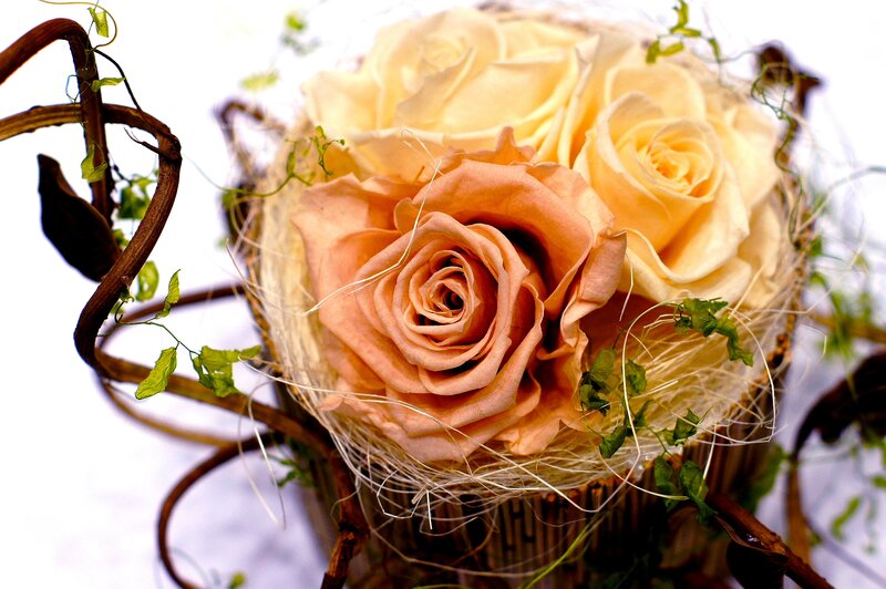 Roses in Woven Basket