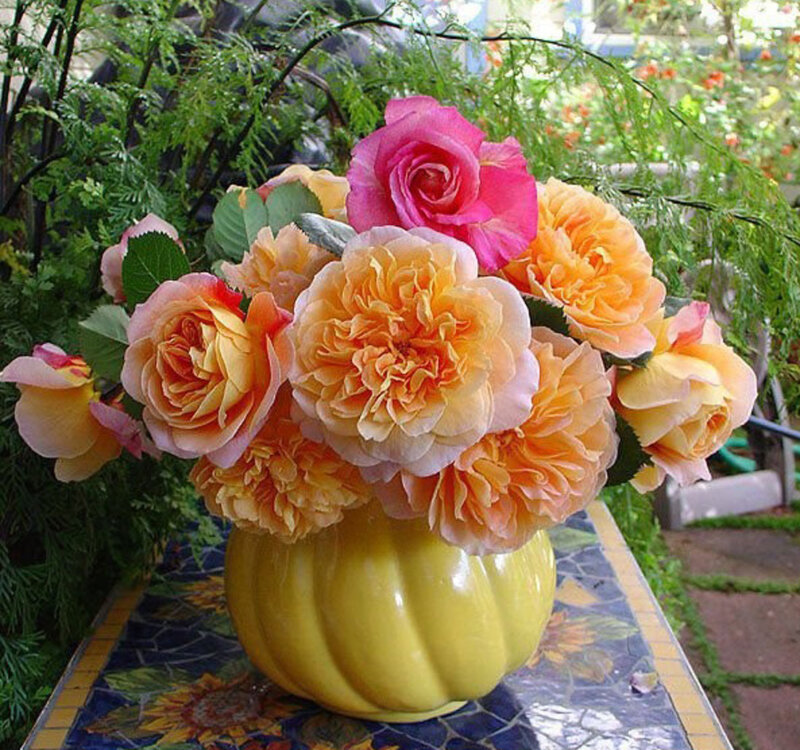 Roses in Yellow Vase