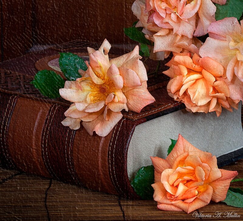 Roses on a Book — Brown