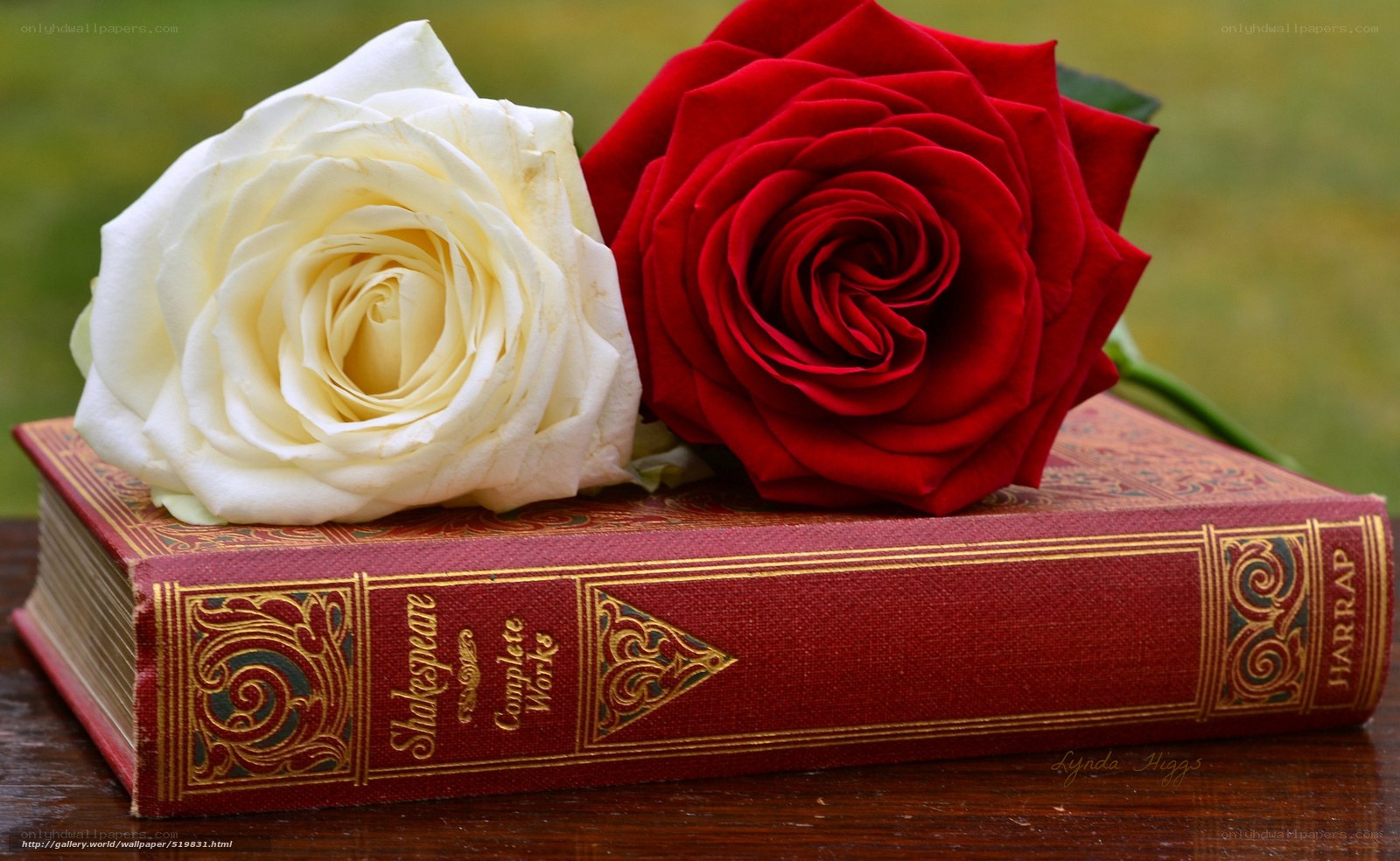 roses on a book