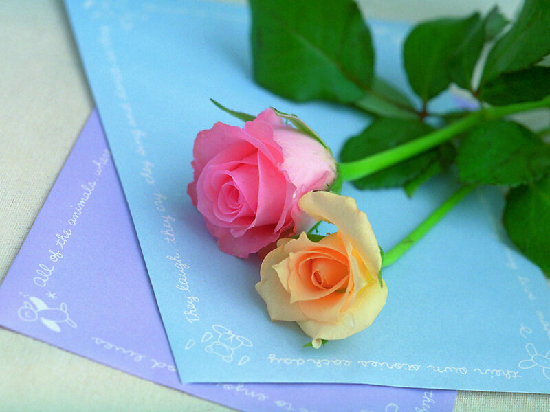 Roses on a card