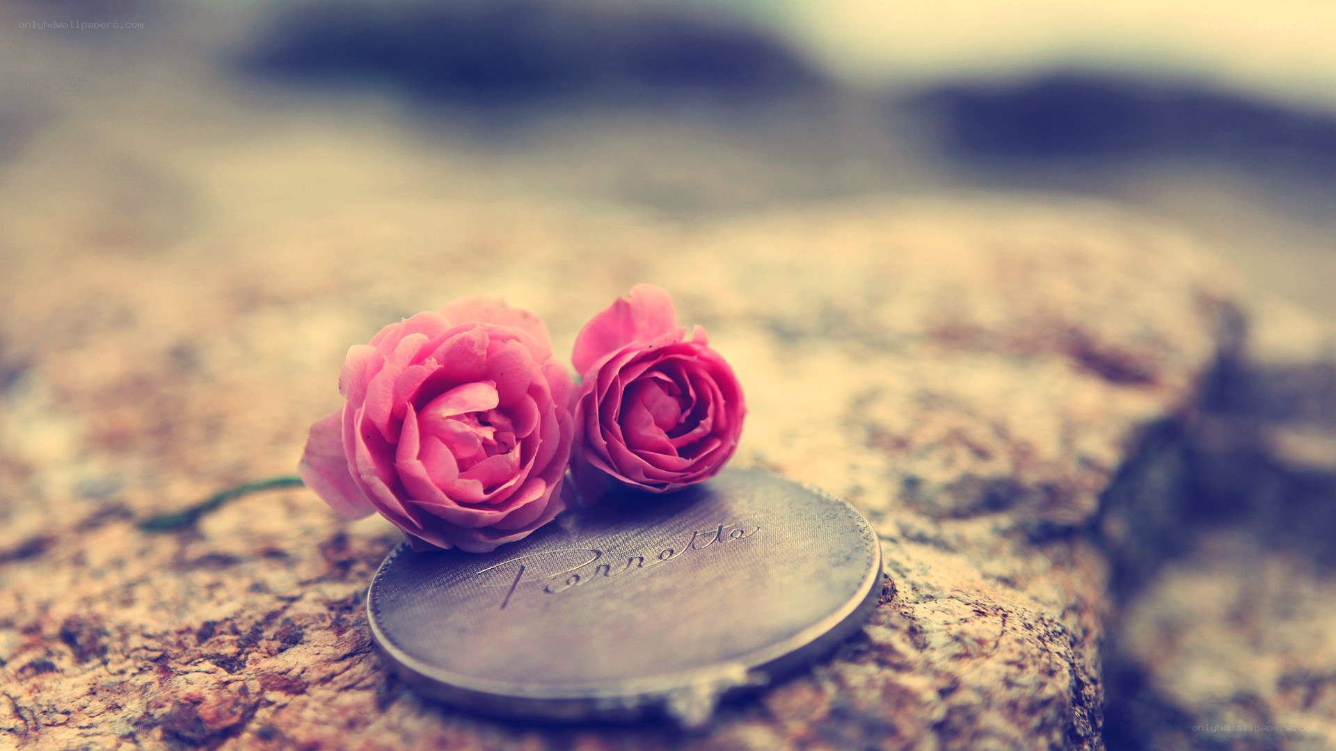 roses on a coin