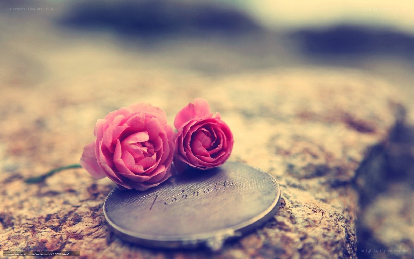 roses on a coin