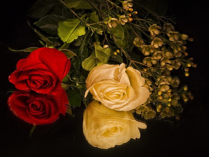 Roses on a dark surface