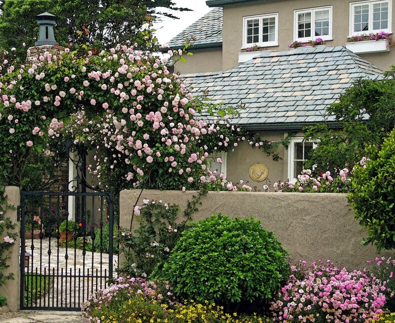Roses on a House Wall