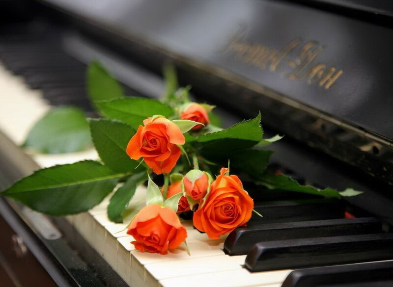 Roses on a piano keyboard