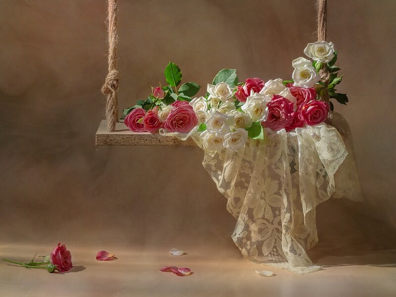 Roses on a Swing — Pink, Serene