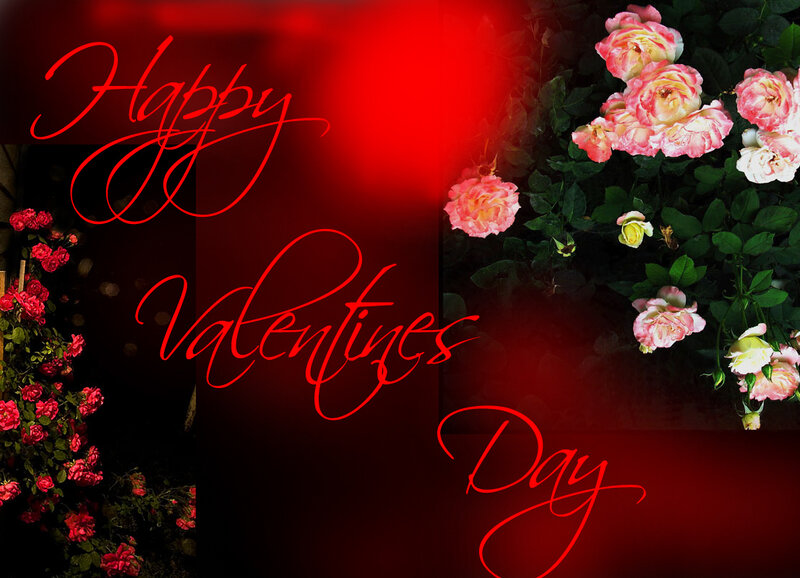 Roses on a Valentine Card