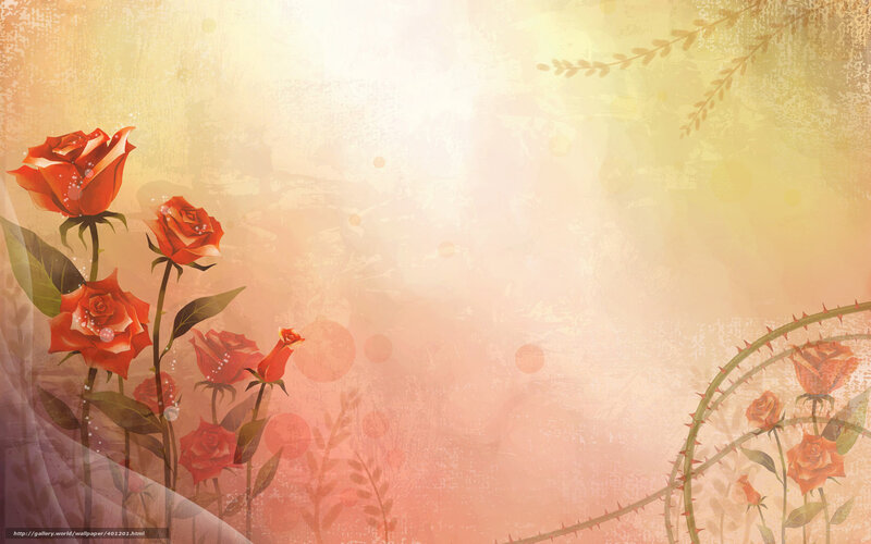 Roses on a warm background