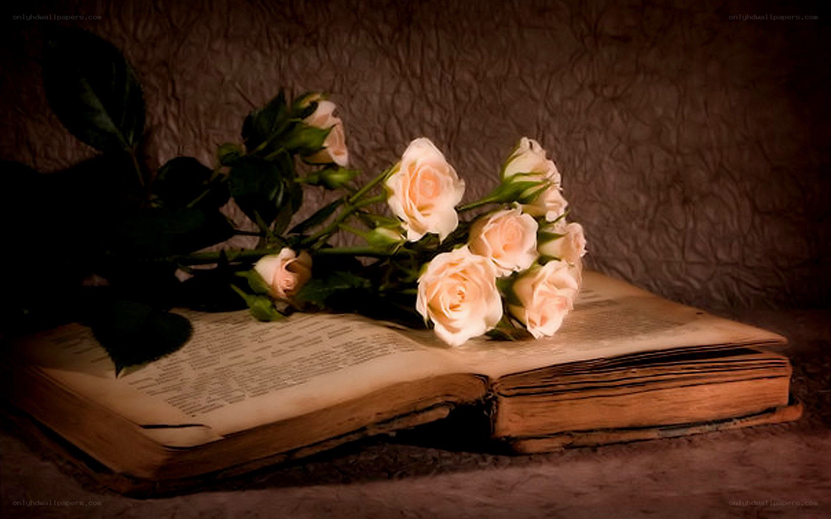 roses on an old book