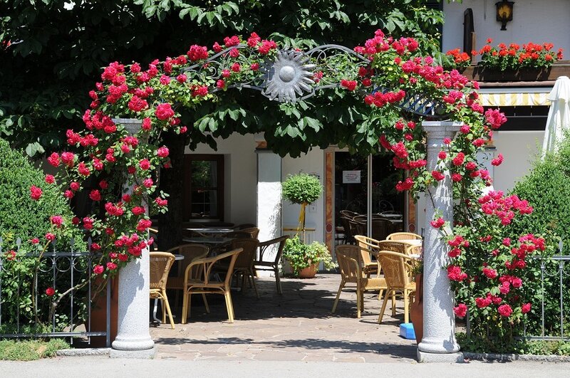 Roses on Arbor — Red