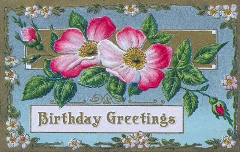 Roses on Birthday Card