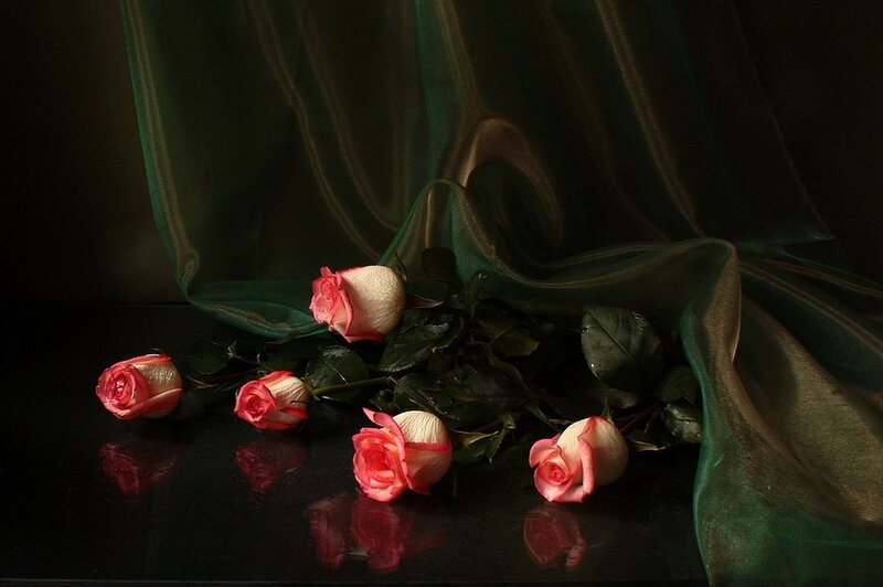 Roses on Black Surface — Dramatic