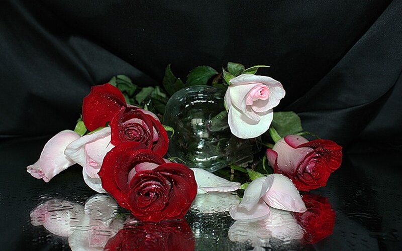 Roses on Black Surface