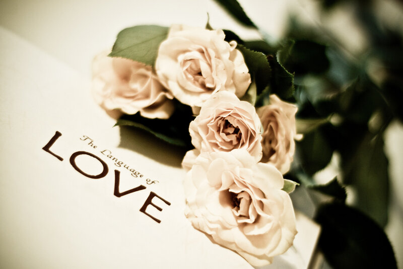 Roses on Book Cover