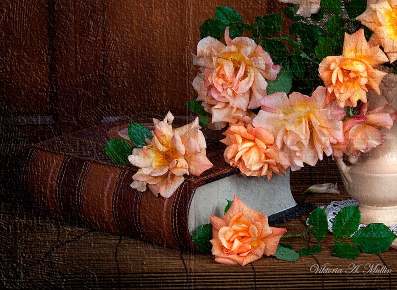 Roses on Book — Orange