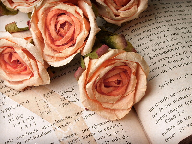 Roses on Book Pages