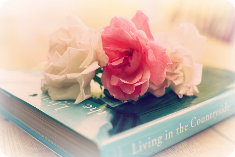Roses on Book