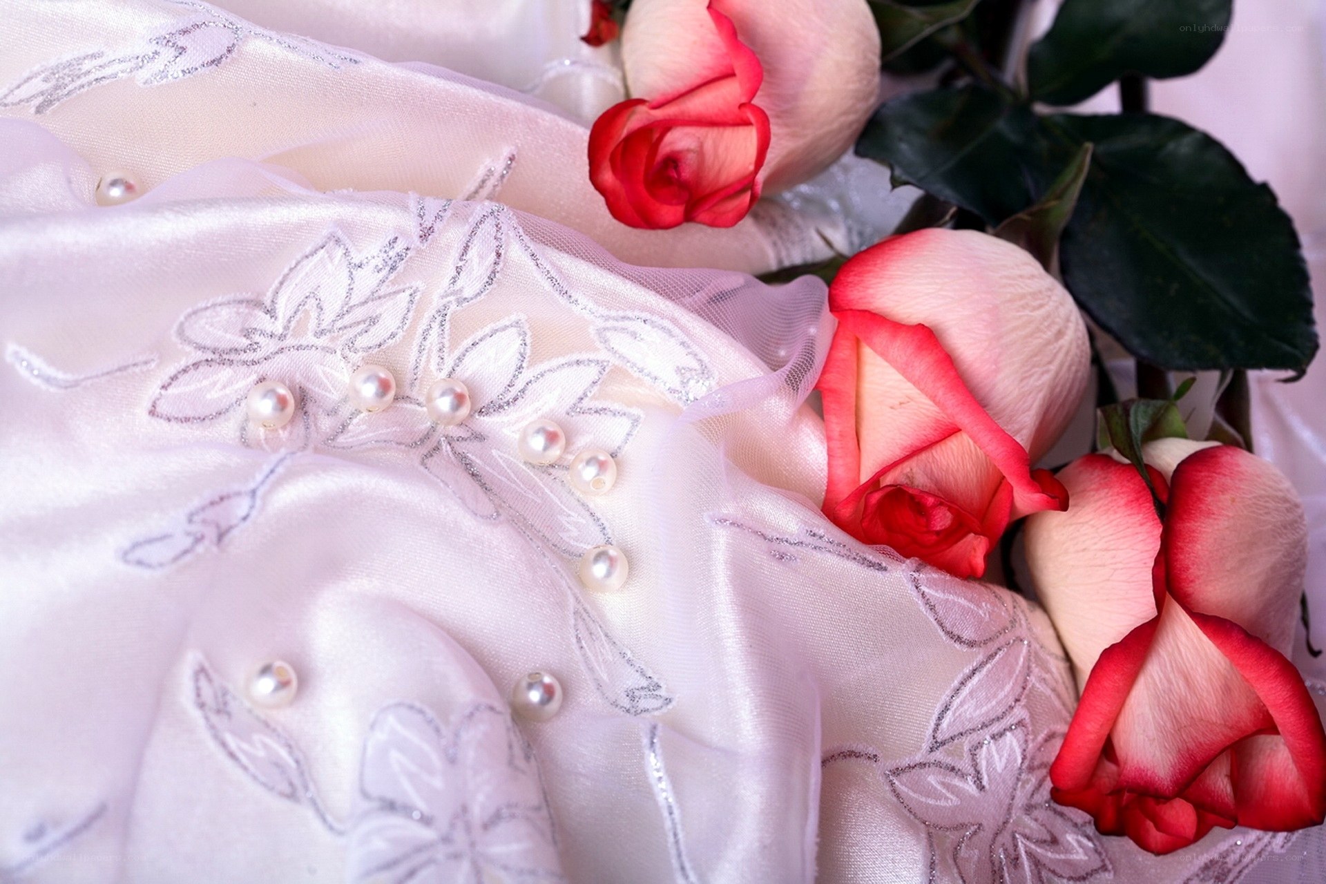 Roses on embroidered fabric