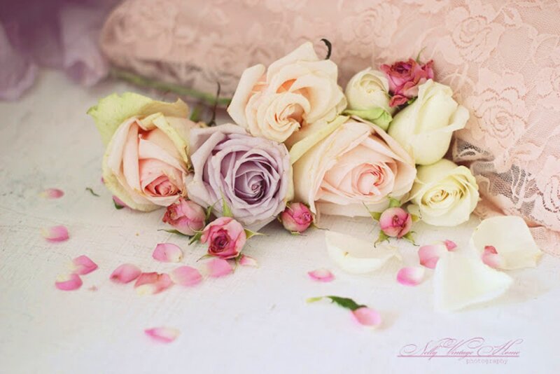 Roses on Lace Fabric — Pink, Serene