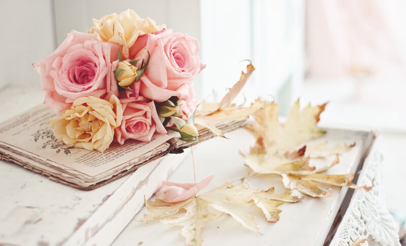 Roses on Old Book — Pink, Serene