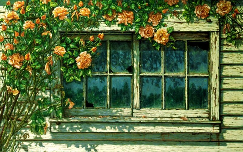 Roses on Old Window