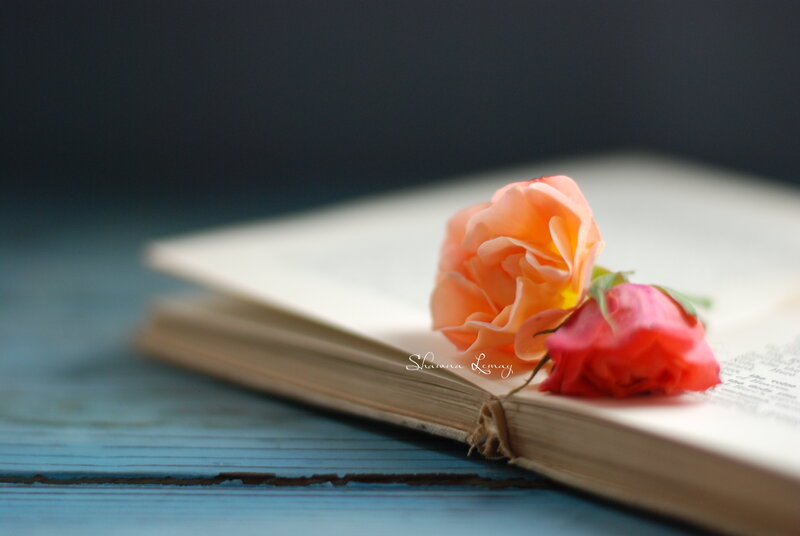 Roses on Open Book — Blue