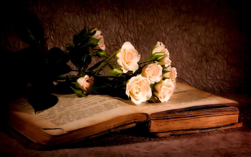 Roses on Open Book — Brown, Dramatic
