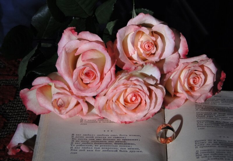 Roses on Open Book — Pink, Romantic