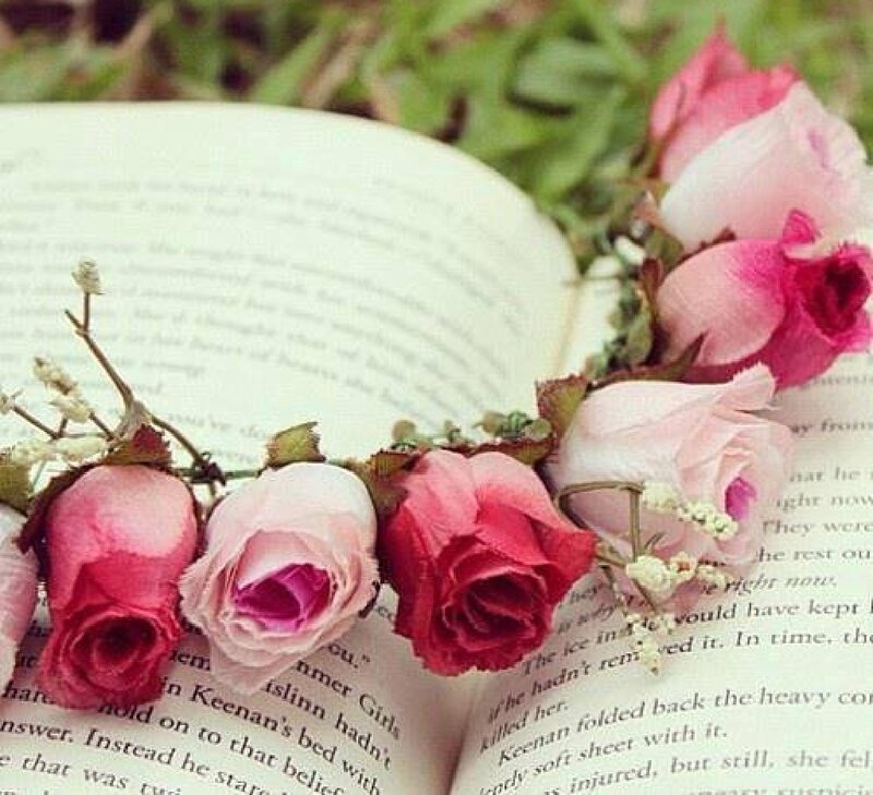 Roses on Open Book — Pink, Serene