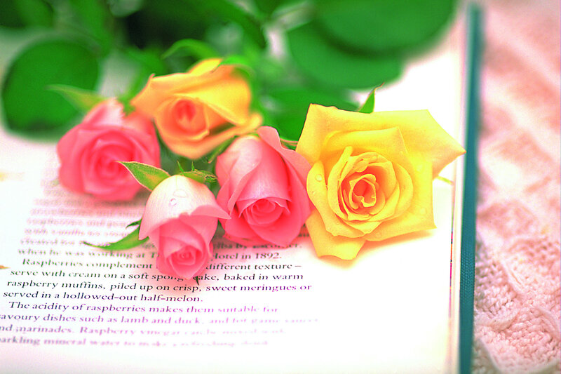 Roses on Open Book