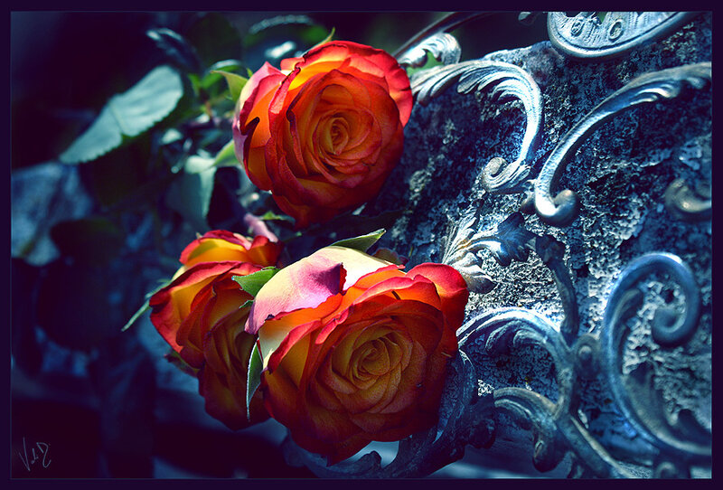 Roses on ornate metal