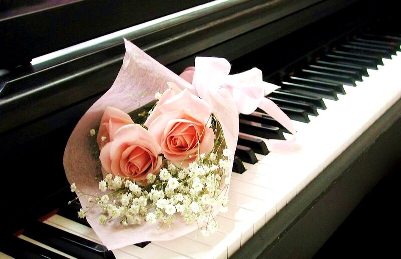 Roses on Piano Keys — Pink