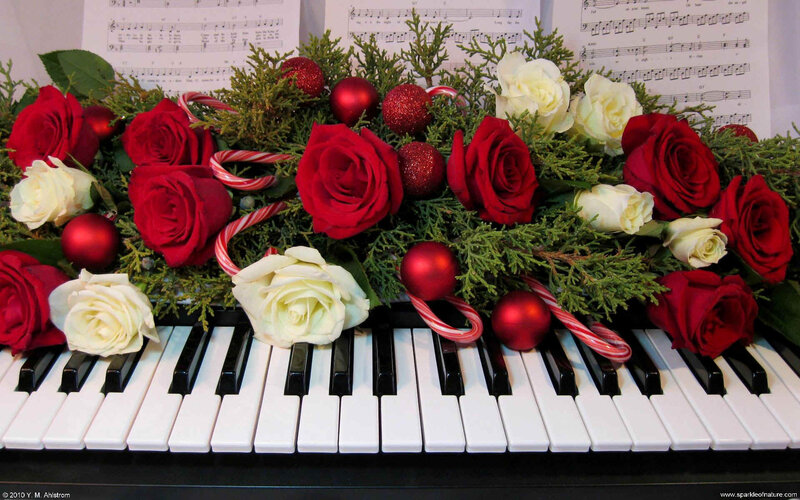 Roses on Piano Keys — Red, Festive