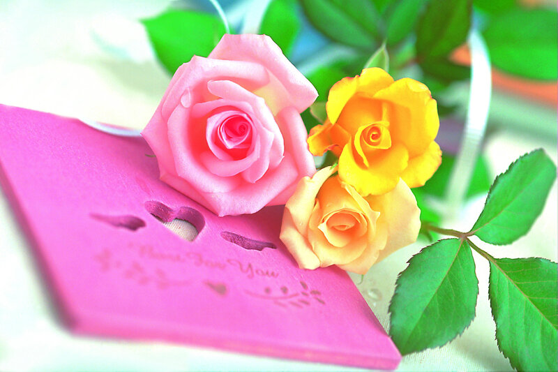 Roses on Pink Card