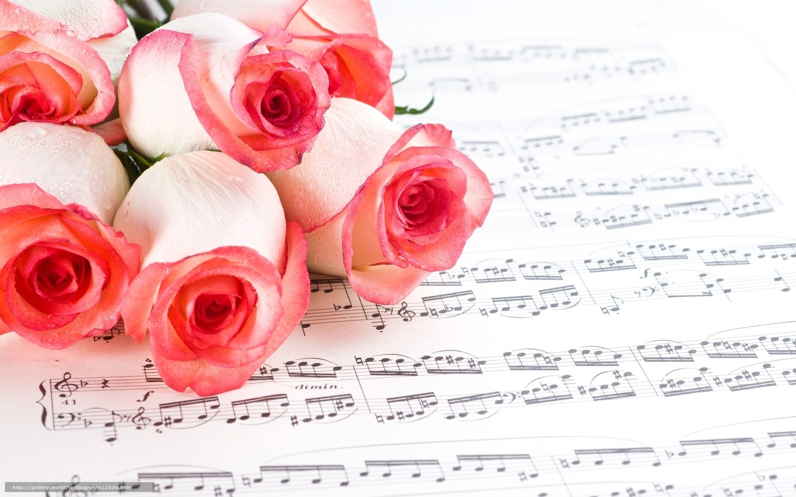 roses on sheet music