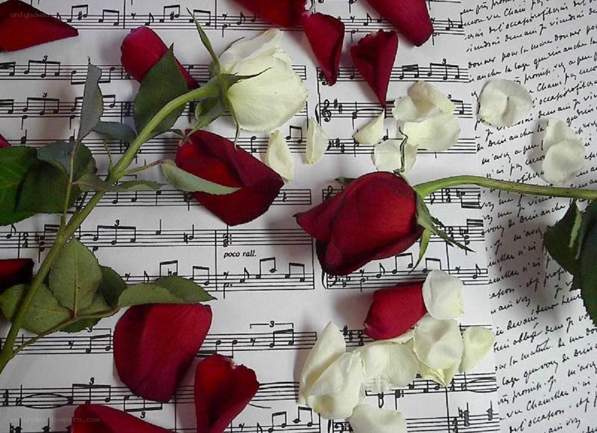 Roses on sheet music