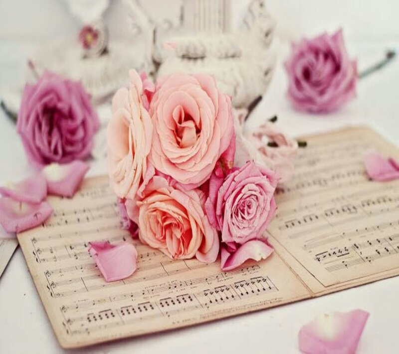 Roses on Sheet Music — Pink, Romantic, Photograph