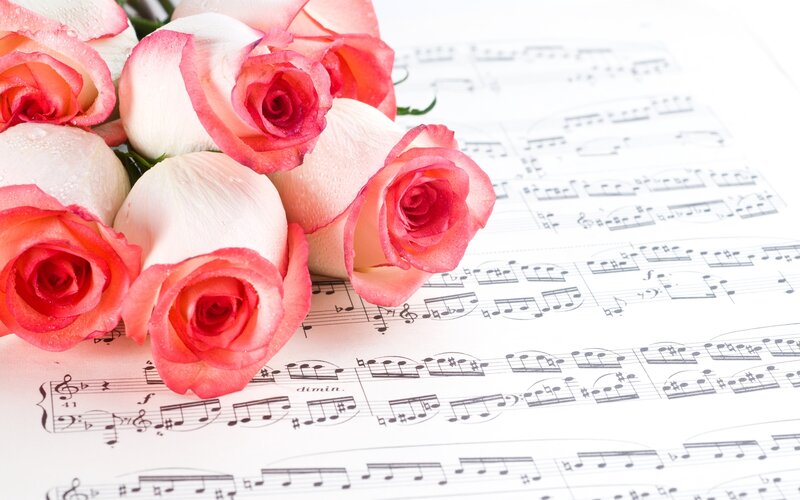 Roses on Sheet Music — Pink, Serene