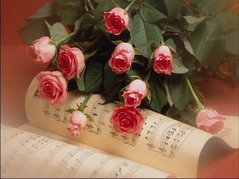 Roses on Sheet Music — Pink
