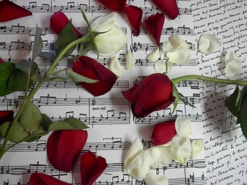 Roses on Sheet Music — Red