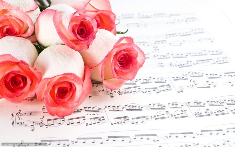 Roses on Sheet Music — White, Serene