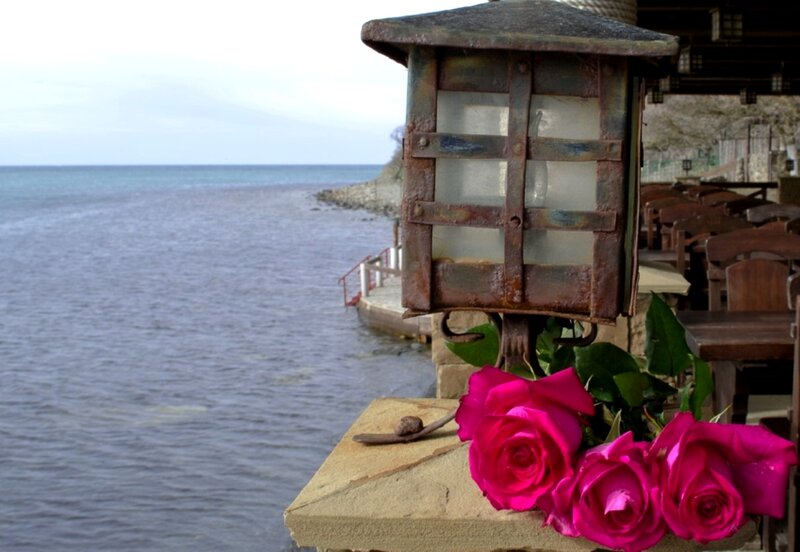 Roses on Stone Ledge