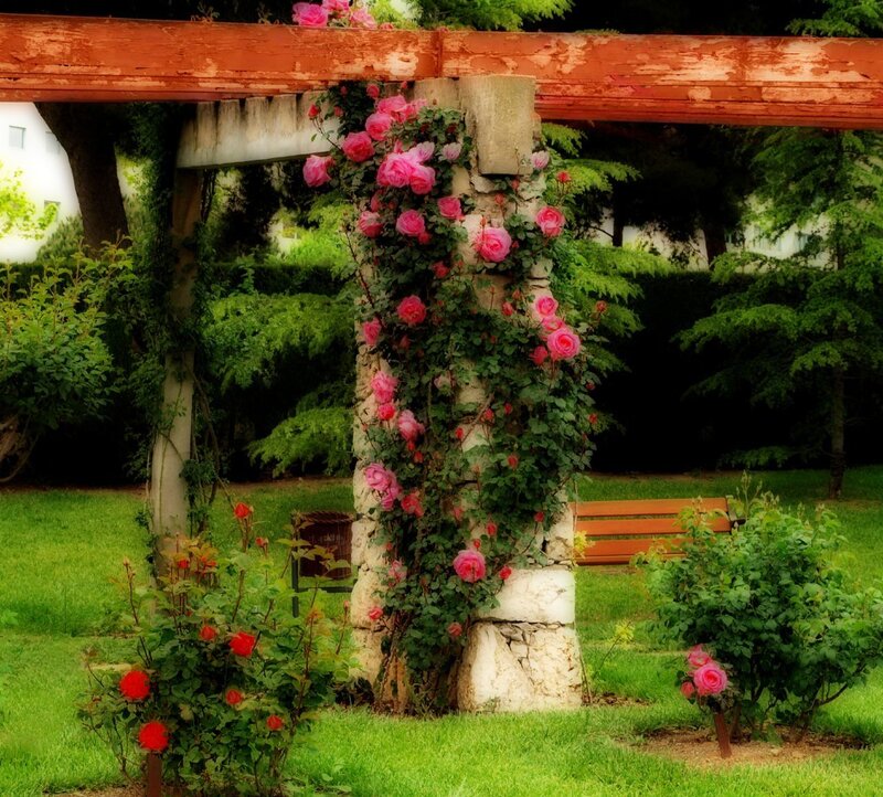Roses on Stone Pillar
