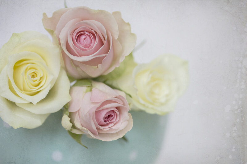 Roses on Textured Surface